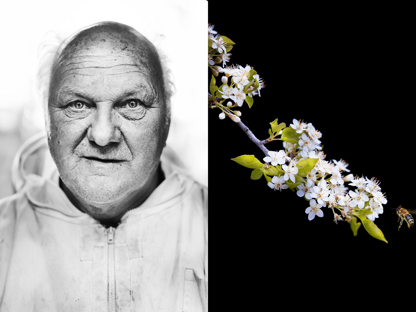 copyright Sylvan Müller - Silvan Ferfolja, Friaul – I