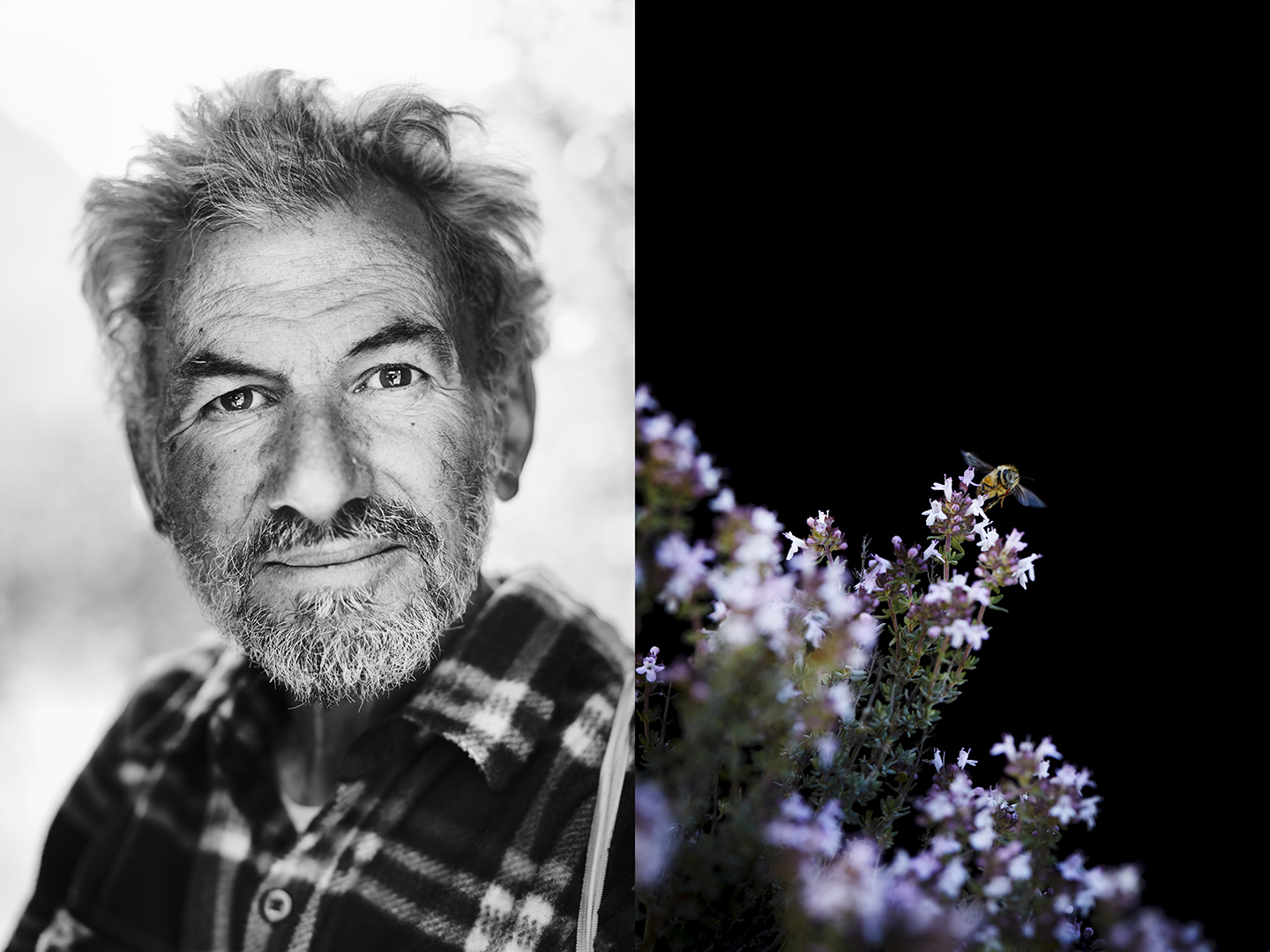 copyright Sylvan Müller - Sergio Giovannoni, Prov. Aosta – I