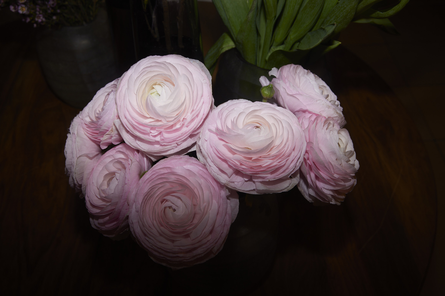 copyright Maurice Haas - Elif und Markus